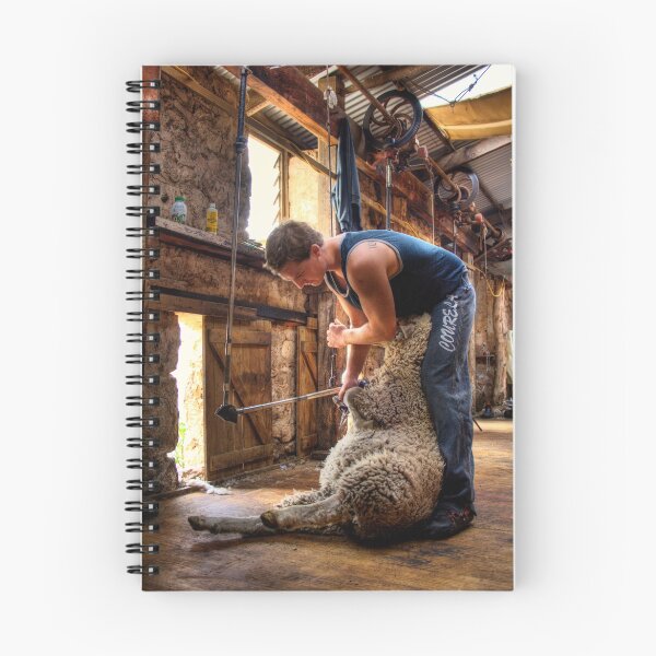 Aperçu de l'œuvre The Shearer créée et vendue par Steve Chapple.