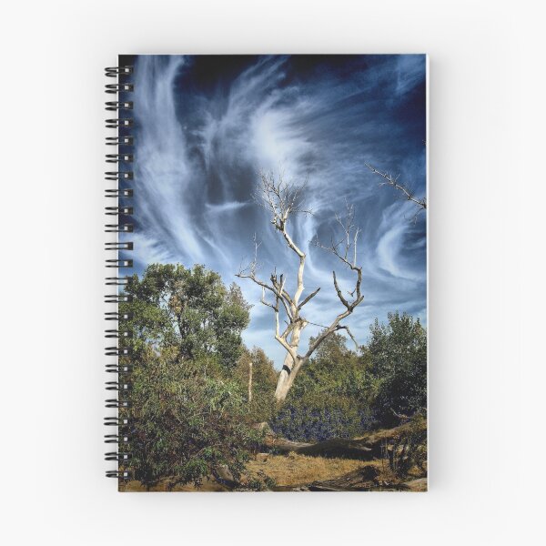 Item preview, Windswept Skies designed and sold by Barbara  Brown.