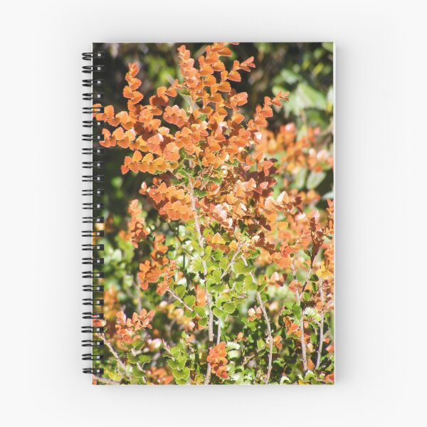 Item preview, deciduous beech and ferns designed and sold by Gaylene Norton.