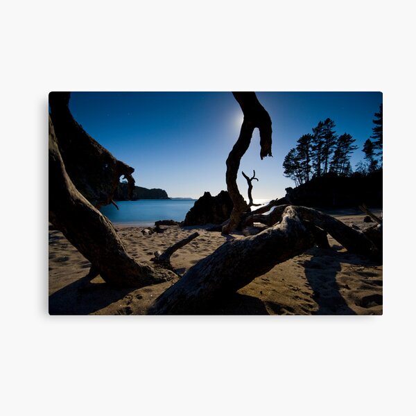 Bend in the moon Canvas Print