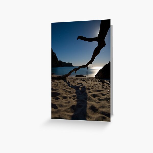 Loneliness of a night photographer. Greeting Card