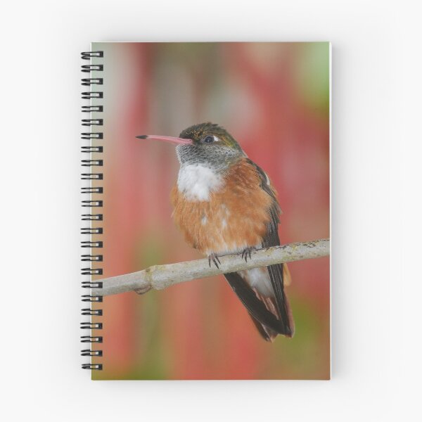 Item preview, Hummingbird in Red designed and sold by mc27.