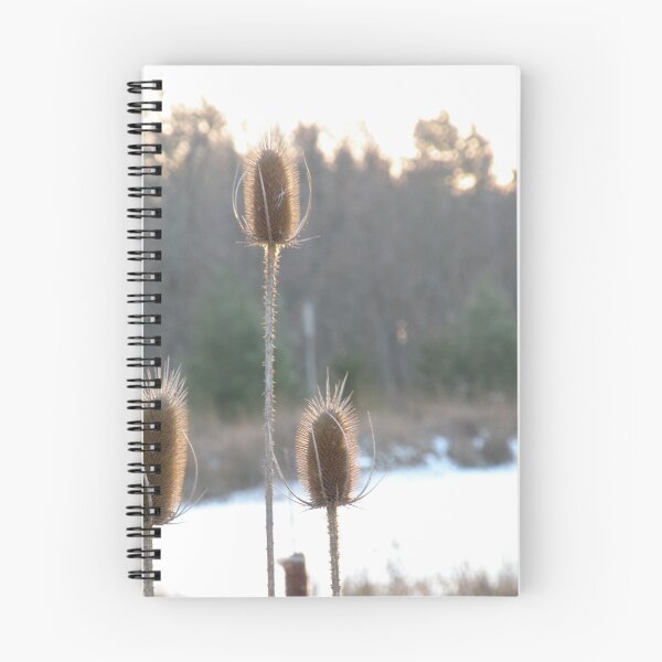 Item preview, Teasels designed and sold by lindybird.
