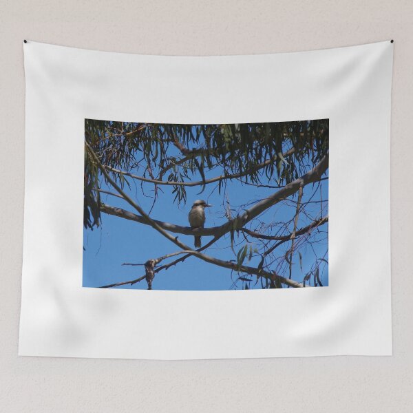 Item preview, Kookaburra At Hanging Rock designed and sold by lezvee.
