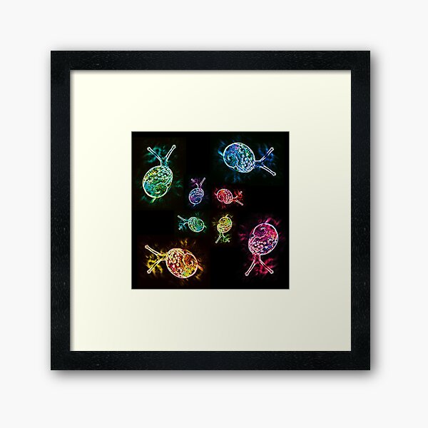 Neon Snail 2 Framed Art Print