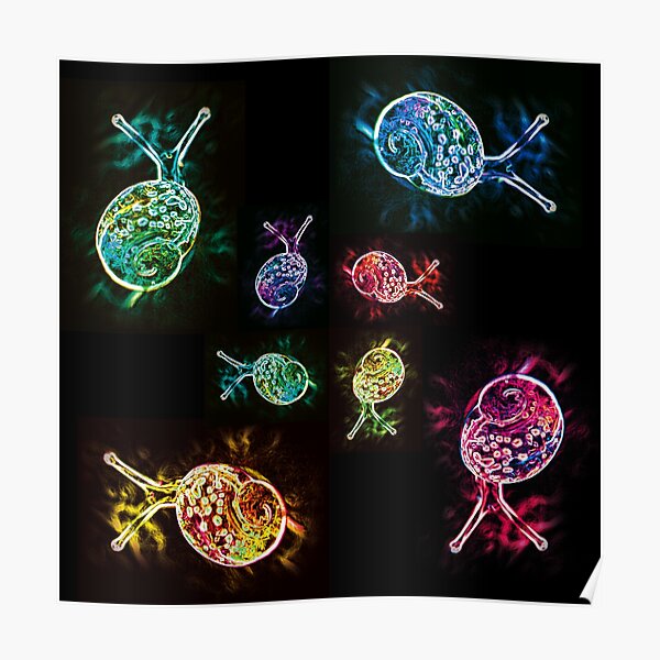 Neon Snail 2 Poster