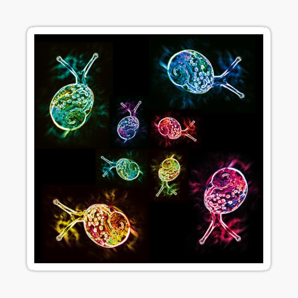 Neon Snail 2 Sticker