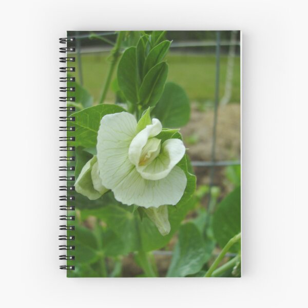 Item preview, Sweet Pea designed and sold by Skyhorse.