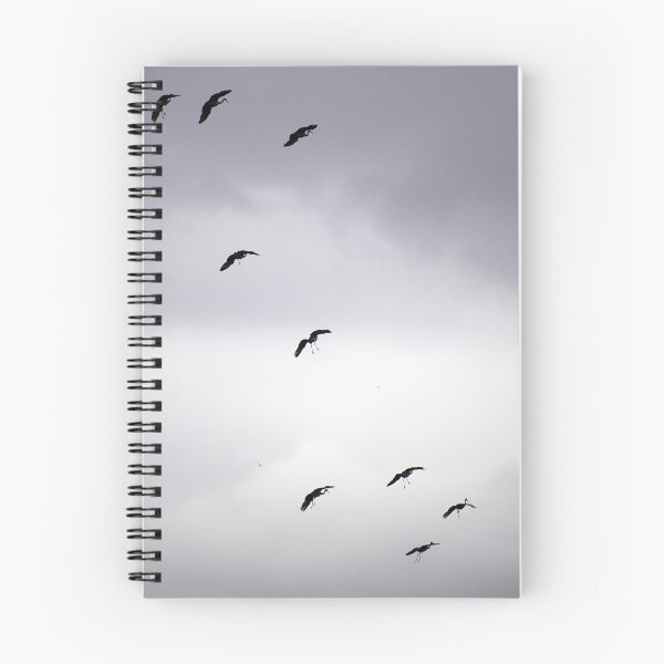 Item preview, Cranes Flying 11 designed and sold by rdshaw.