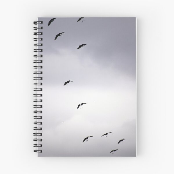 Item preview, Cranes Flying 12 designed and sold by rdshaw.