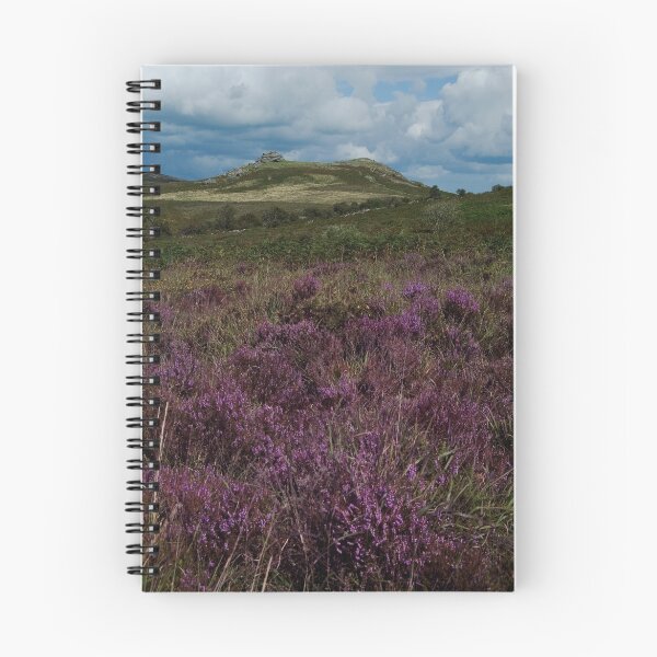 Artikelvorschau, purple Hay tor entworfen und verkauft von David Clewer.
