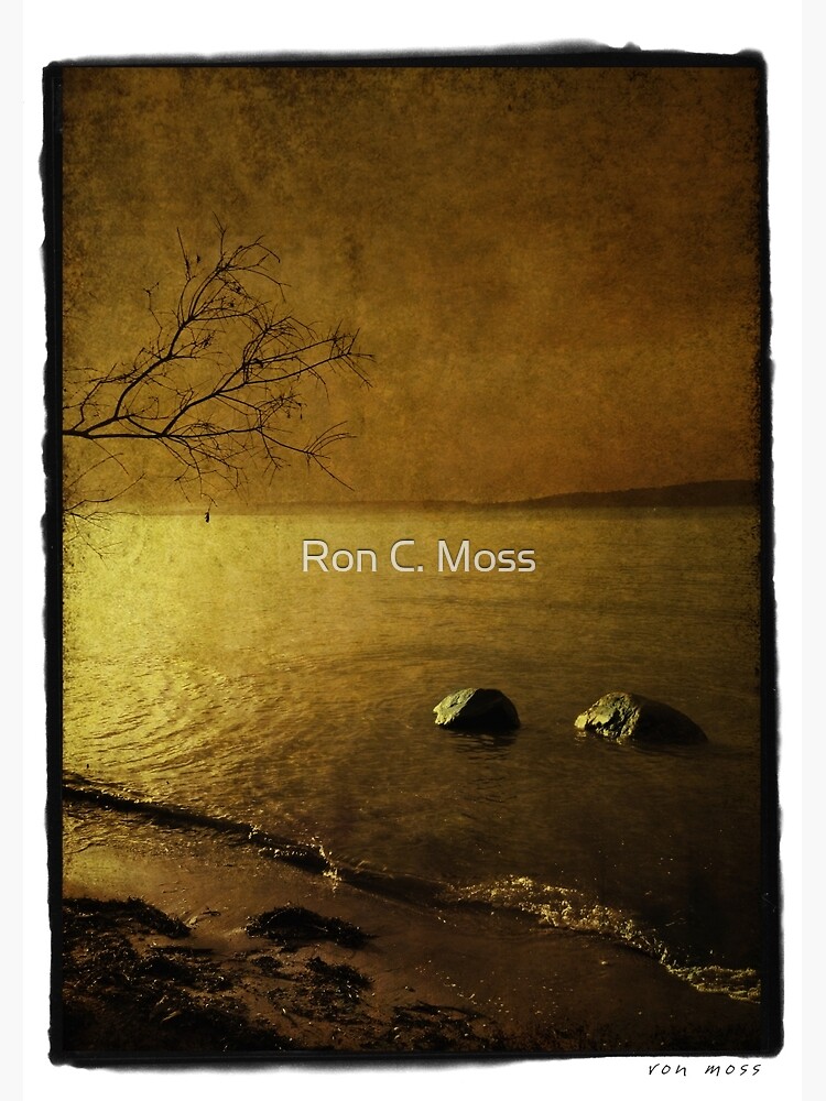 Rock Tide by ronmoss
