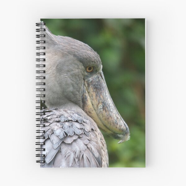 Item preview, Shoebill designed and sold by Jack Reynolds.