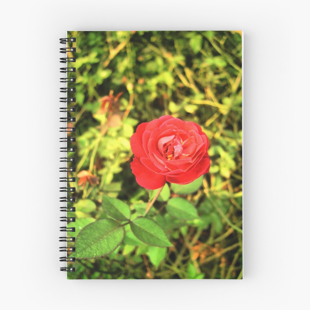 Item preview, Spiral Notebook designed and sold by reactdevelopers.