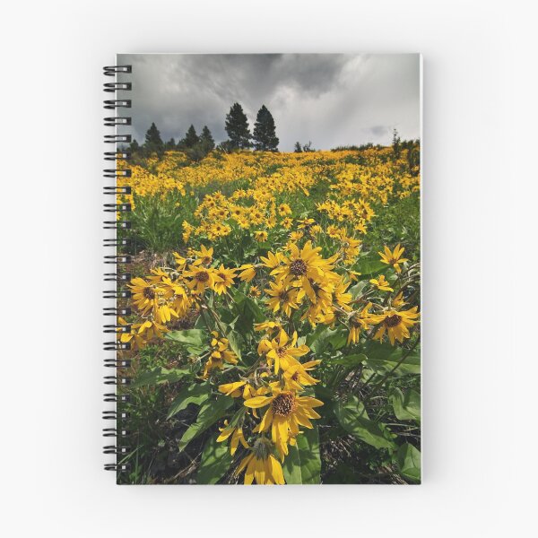 Item preview, Idaho Arrowleaf Balsomroot designed and sold by Nolan Nitschke.