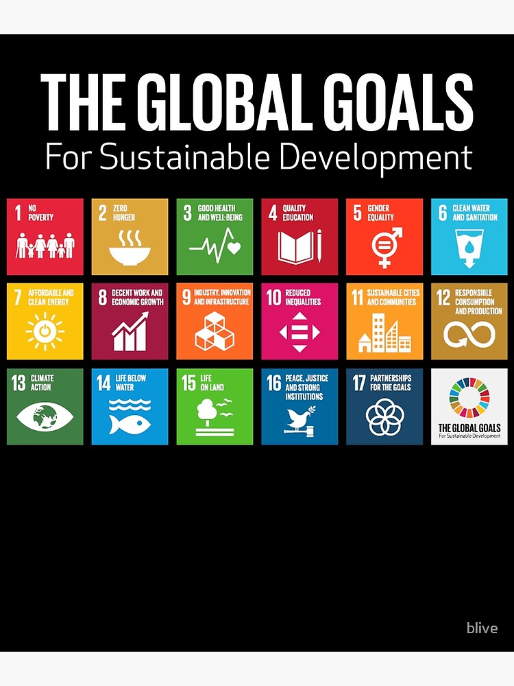 The Global Goals 17 Global Goals Icons Grid Premium Matte Vertical ...