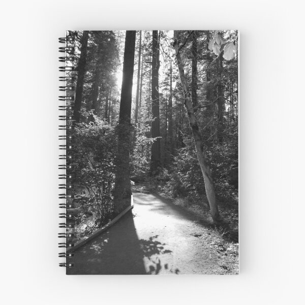 Item preview, Lighted Path designed and sold by Magick Hour Studios.