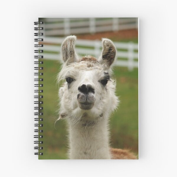 Item preview, Llama Portrait designed and sold by Jack McCallum.