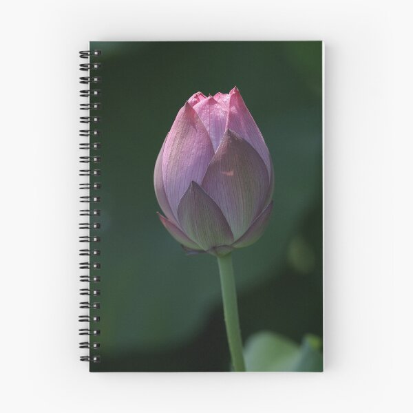 Item preview, Red Scarf Lotus Bud designed and sold by MaupinPhoto.