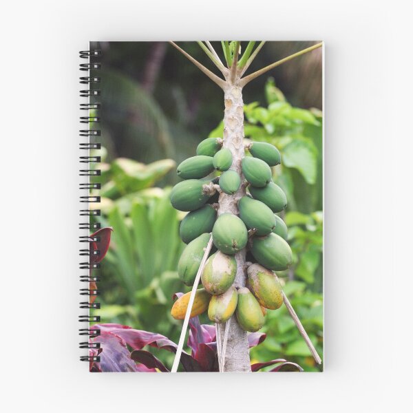 Item preview, Papayas designed and sold by Amber Gregory.