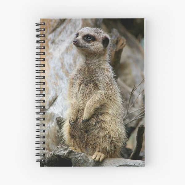 Item preview, Meerkat designed and sold by Lyle McNamara.
