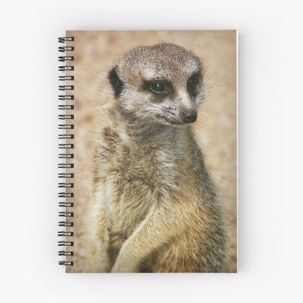 Item preview, Vigilance designed and sold by Norman Repacholi | Keystone Photography.