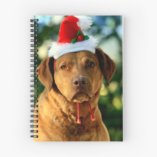 Artikelvorschau, Happy Holiday  entworfen und verkauft von KerrieT.