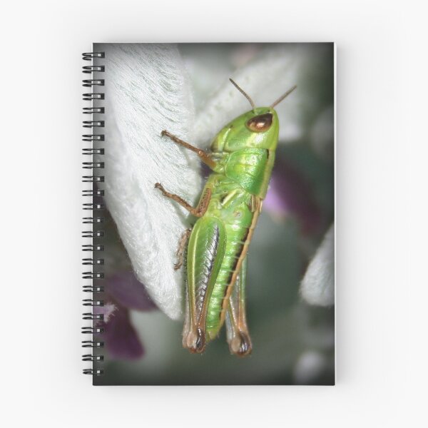 Artikelvorschau, Grasshopper entworfen und verkauft von Bandicoot.