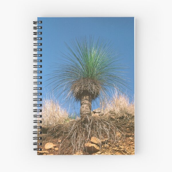 Item preview, Grass Tree designed and sold by Lyle McNamara.