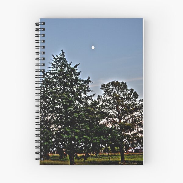 Item preview, Shimmering Light designed and sold by Pat Moore.