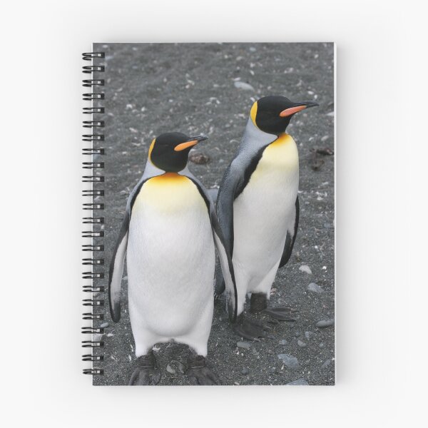 Artikelvorschau, Penguin Duo 2 entworfen und verkauft von squires.