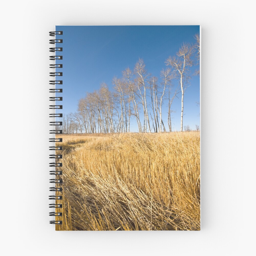 Item preview, Spiral Notebook designed and sold by levdir.