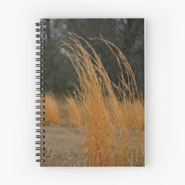 Item preview, Winter Grasses designed and sold by MaupinPhoto.
