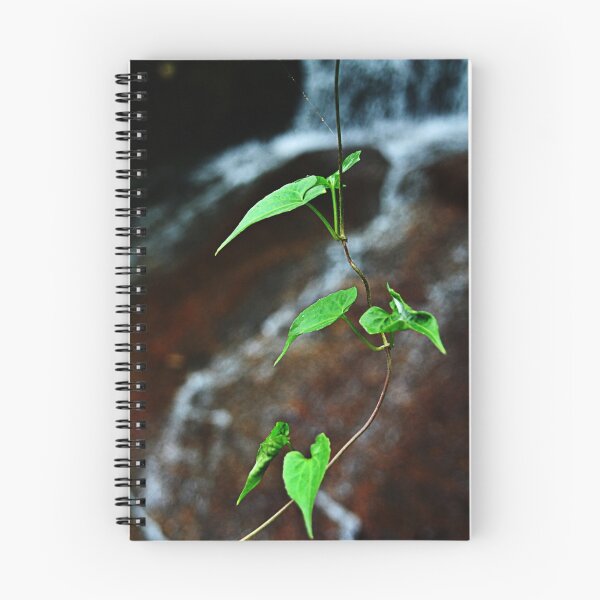 Item preview, Gracious designed and sold by Steven  Siow.