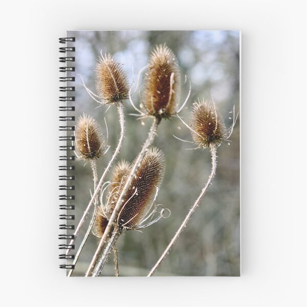 Item preview, Winter Thistles designed and sold by papillonbleu.
