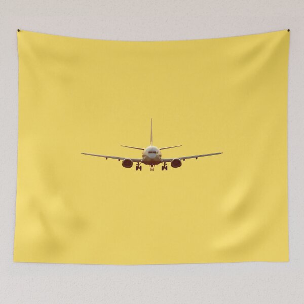 Item preview, Boeing 737 designed and sold by sibosssr.