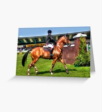 Gorgeous horse Greeting Card
