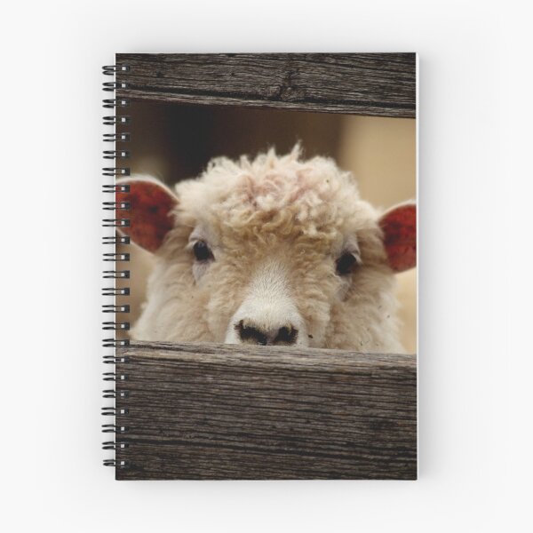 Item preview, Hello designed and sold by Tamara  Kenneally.