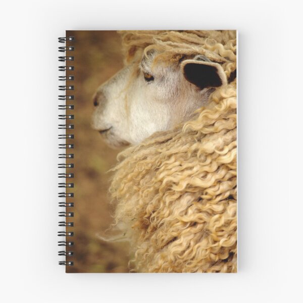 Item preview, Goldilocks II designed and sold by Tamara  Kenneally.