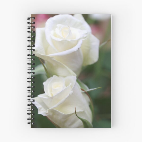 Item preview, Twin White Roses designed and sold by Rosemaree.
