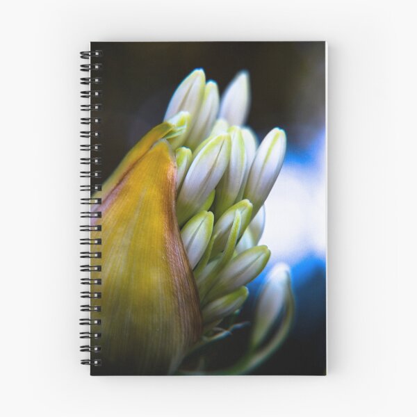 Item preview, Agapanthus breaking free designed and sold by Andreas Koepke.
