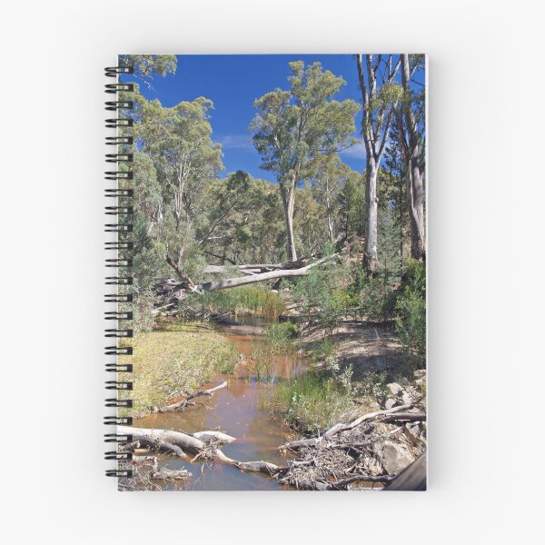 Aperçu de l'œuvre Creek within Wilpena Pound, South Australia créée et vendue par johnrf.