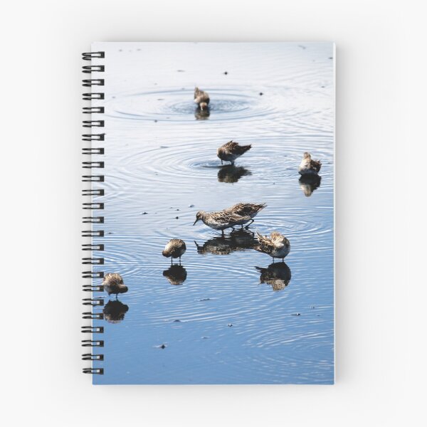 Item preview, Sharp-Tailed Sandpipers designed and sold by margotk.
