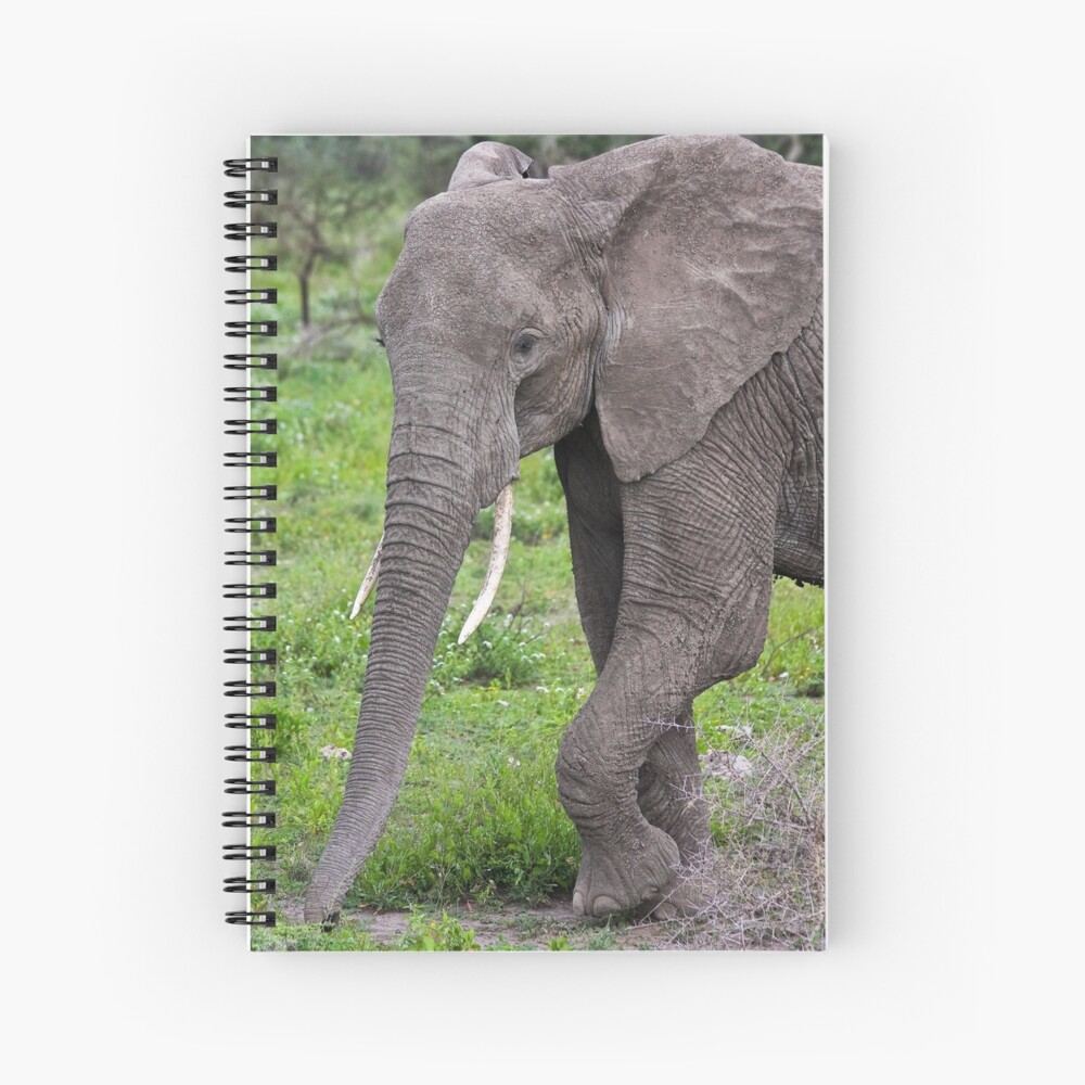 Item preview, Spiral Notebook designed and sold by nstanev.