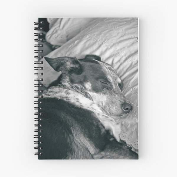 Item preview, Comforts of home designed and sold by Claire  Farley.