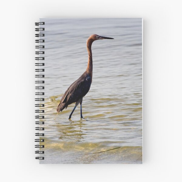 Item preview, Red egret on the beach designed and sold by Karen  Moore.