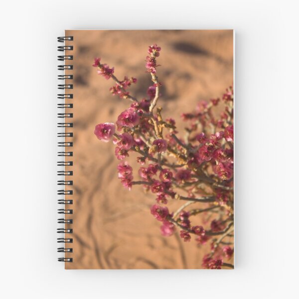 Item preview, Flowers in the Desert designed and sold by Karen Millard.