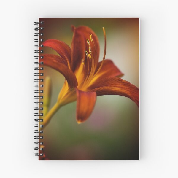 Aperçu de l'œuvre Lily créée et vendue par VLFatum.