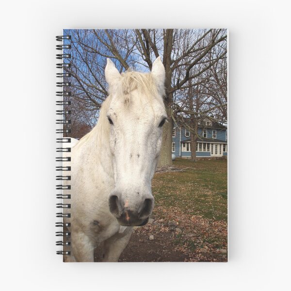 Artikelvorschau, White Clydesdale entworfen und verkauft von Cheri Perry.
