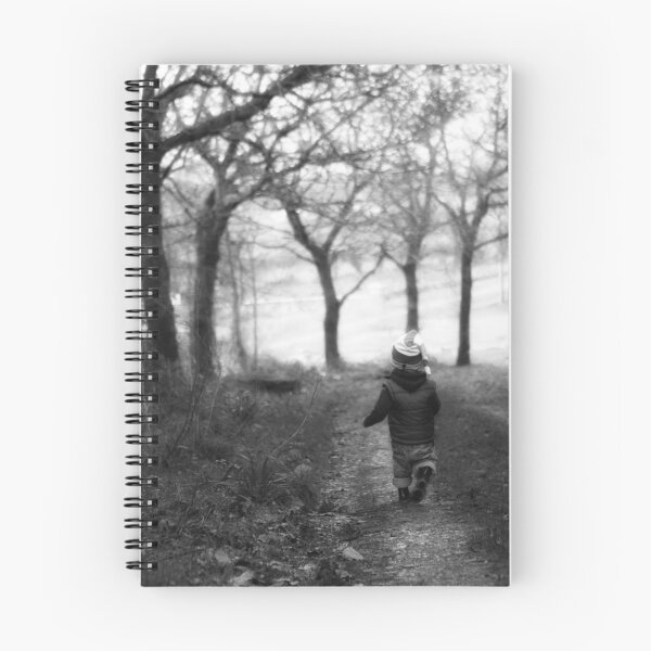 Item preview, Walk in the Park designed and sold by Donal Lyne.
